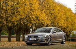 Audi A8 L, front static